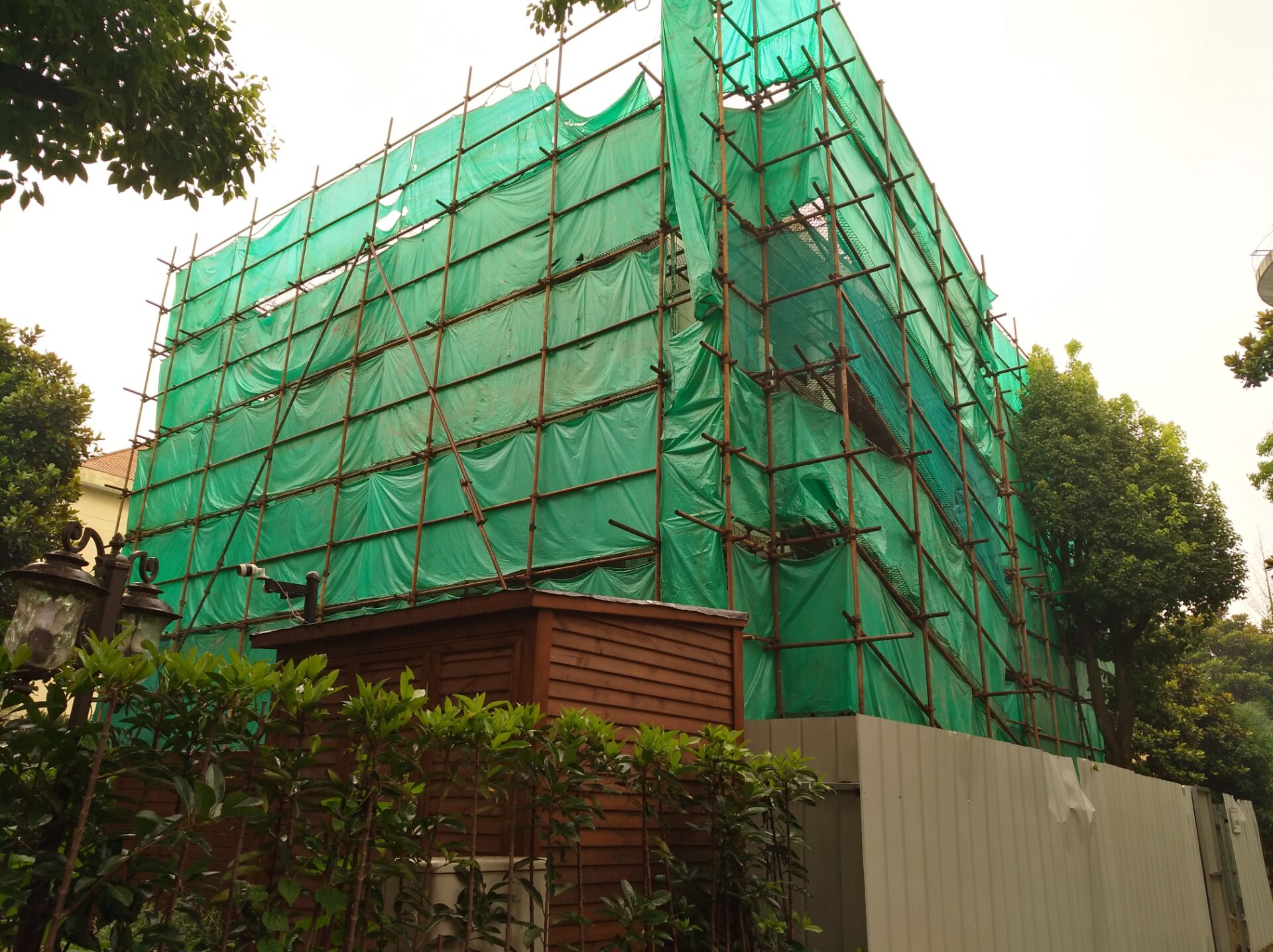 202511077d4464acea8f4018c494464194fe2798.jpg 202511077d4464acea8f4018c494464194fe2798.jpg